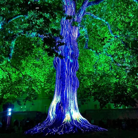 Double J - Omaha 別荘 *