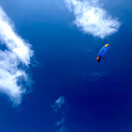 Double J - Omaha * Formigny