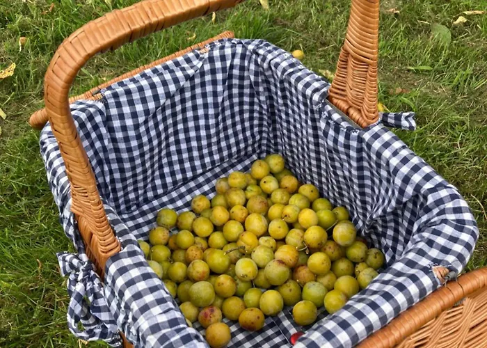 Holiday home Double J - Omaha