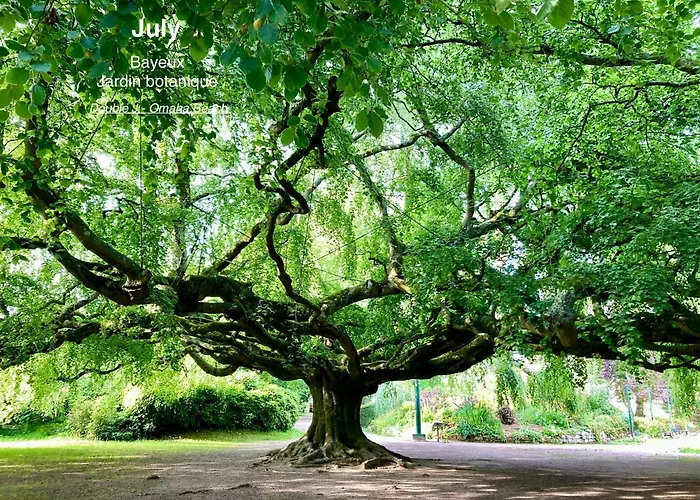 Double J - Omaha Holiday home Formigny