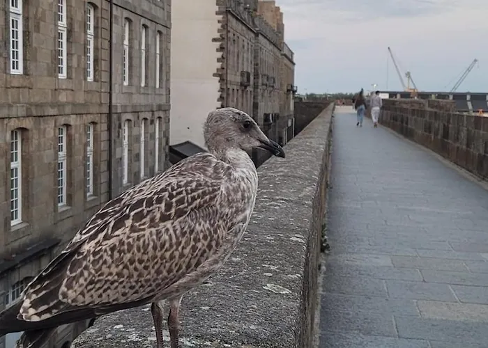 Double J - Omaha Formigny