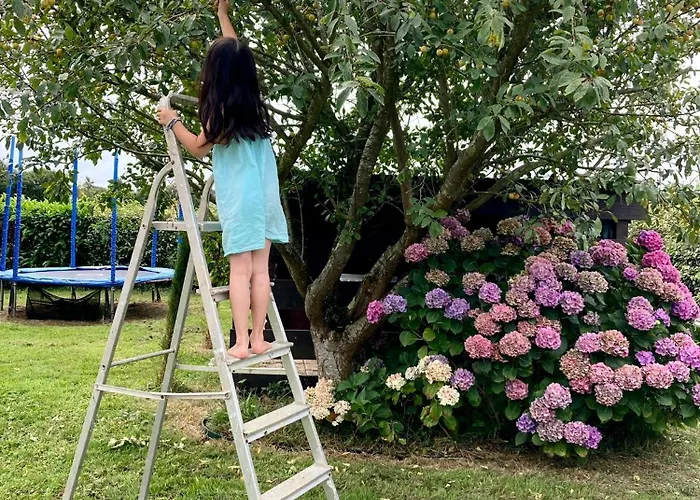 Double J - Omaha Formigny