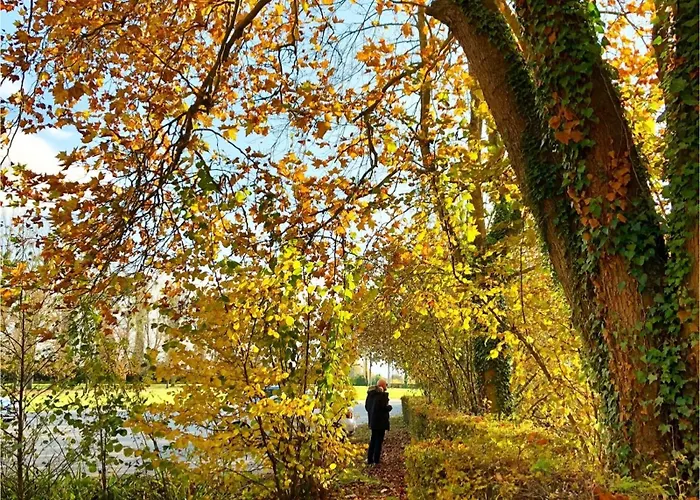 Double J - Omaha * Formigny