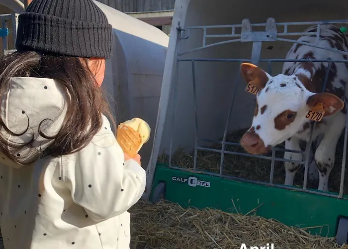 Ferienhaus Double J - Omaha Formigny