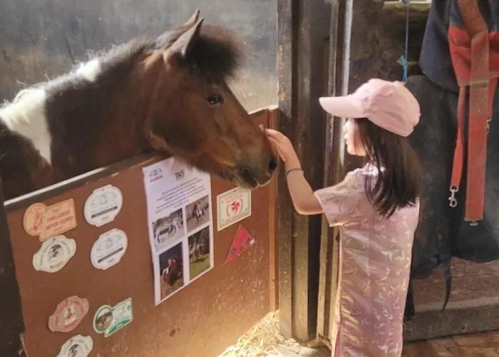 Double J - Omaha Formigny