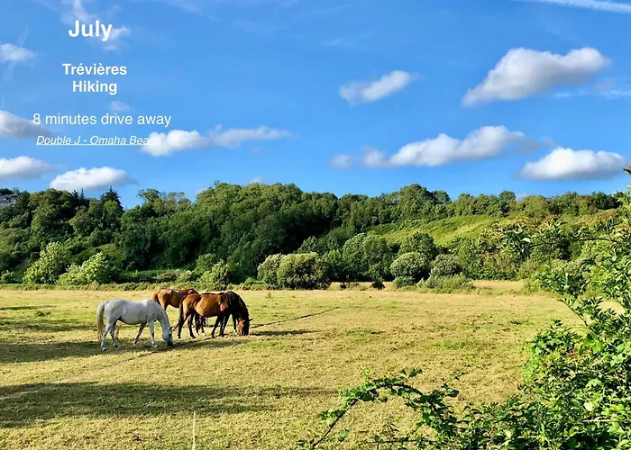 Double J - Omaha * Formigny